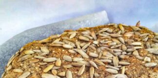 Proteinrigt fiberbrød med solsikkekerner » Mel- og Glutenfri opskrift