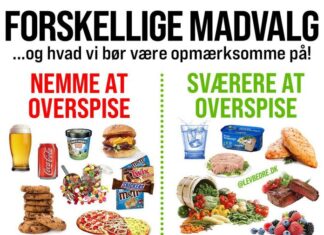 Hvorfor hyper-velsmagende madvalg får os til at overspise, og gør os fede!