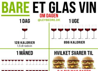 1 GLAS VIN OM DAGEN KOSTER 0,5 KILO FEDT OM MÅNEDEN