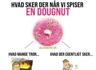 KAN LIDT USUNDT OG SYNDIGT ØDELÆGGE DIN DAG