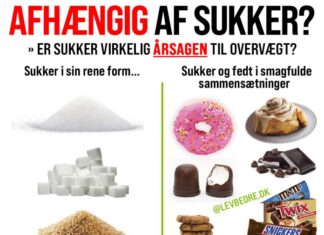 ER DU I VIRKELIGHEDEN AFHÆNGIG AF SUKKER