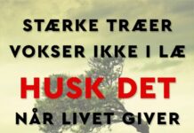 OM LIVETS MODSTAND - STÆRKE TRÆER VOKSER IKKE I LÆ