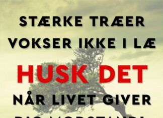 OM LIVETS MODSTAND - STÆRKE TRÆER VOKSER IKKE I LÆ