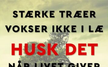 OM LIVETS MODSTAND - STÆRKE TRÆER VOKSER IKKE I LÆ