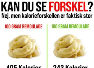 REMOULADE OG VÆGTTAB SPAR KALORIER MED LIGHT