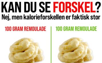 REMOULADE OG VÆGTTAB SPAR KALORIER MED LIGHT