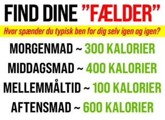 DINE KALORIEFÆLDER OG USYNLIGE VÆGT-BENSPÆNDERE
