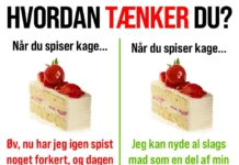 ÉT STYKKE KAGE BETYDER IKKE, DU BARE SKAL GÅ ALL-IN