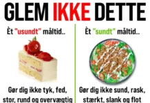 ÉT STYKKE KAGE GØR DIG HVERKEN SUND ELLER USUND ÉT STYKKE KAGE GØR DIG HVERKEN SUND ELLER USUND