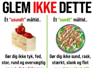 ÉT STYKKE KAGE GØR DIG HVERKEN SUND ELLER USUND