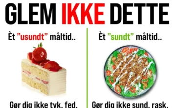 ÉT STYKKE KAGE GØR DIG HVERKEN SUND ELLER USUND
