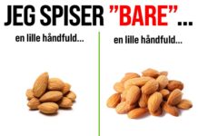 JEG SPISER BARE EN LILLE HÅNDFULD SNACKS