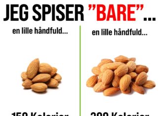 JEG SPISER BARE EN LILLE HÅNDFULD SNACKS