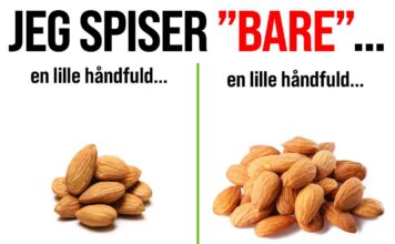 JEG SPISER BARE EN LILLE HÅNDFULD SNACKS