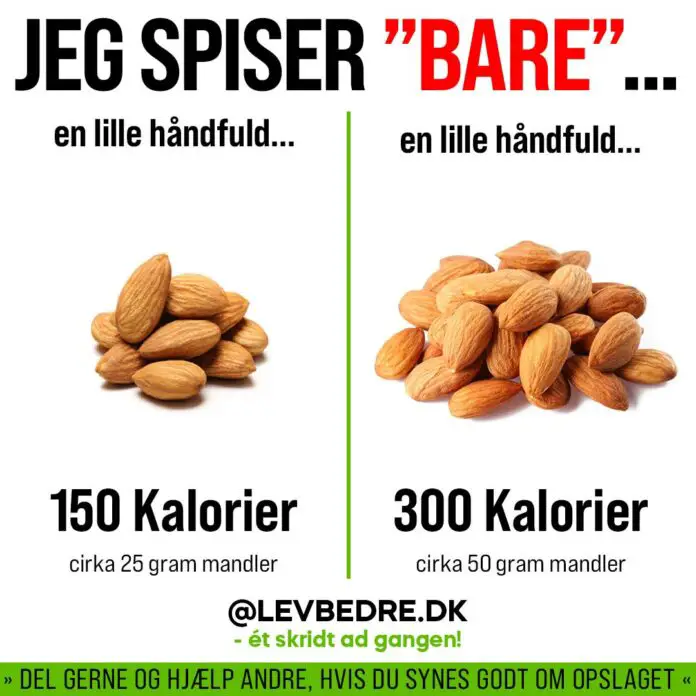 JEG SPISER BARE EN LILLE HÅNDFULD SNACKS
