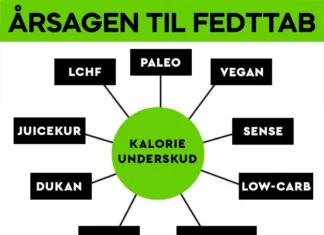 NEJ, DER FINDES INGEN MIRAKELKUR TIL FEDTTAB